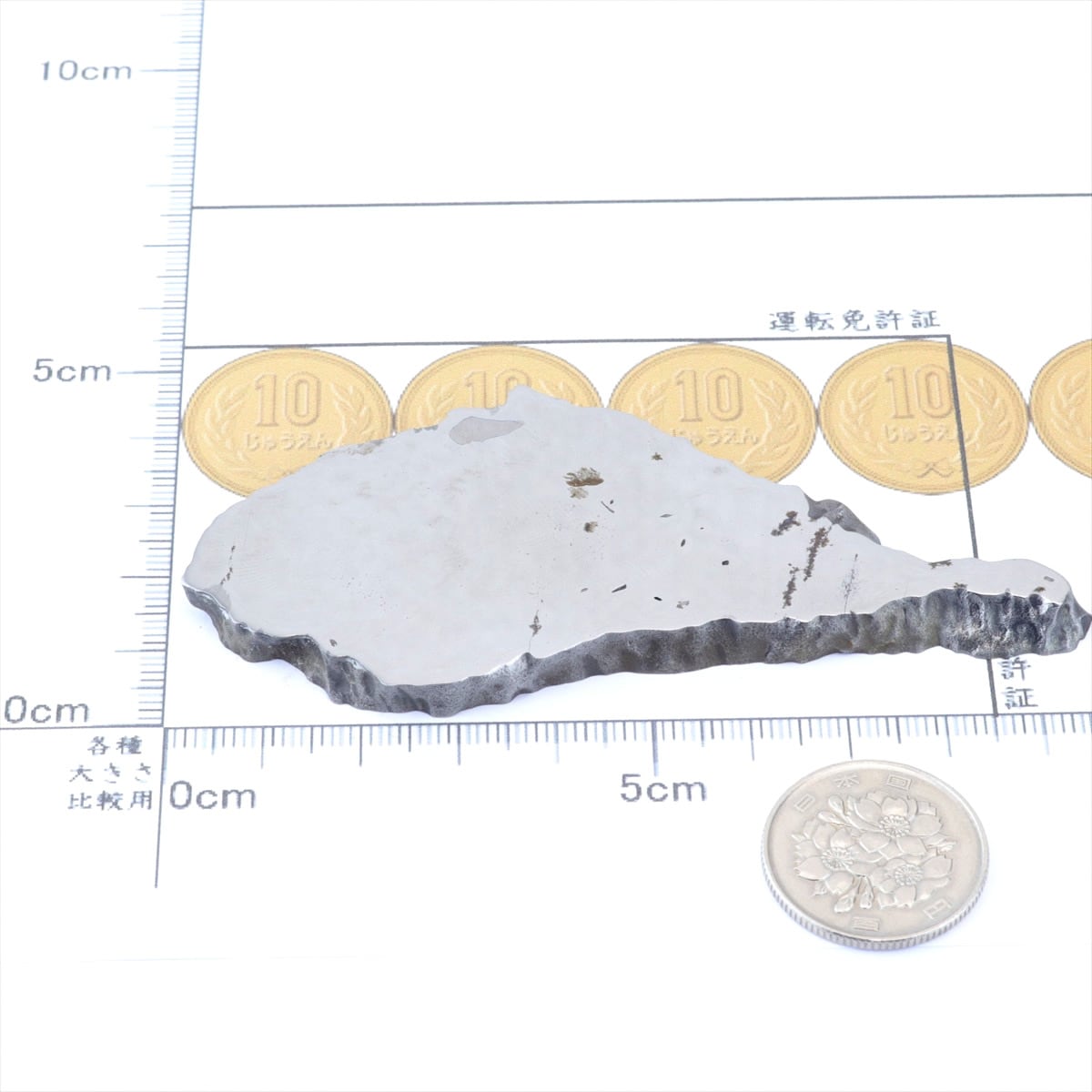 チンガー 隕石 79.9g チンガ アタキサイト 鉄隕石 標本 Chinga M2601