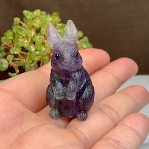 りんご大好きうさぎさん☆りんごがなる招財樹・ペリドット