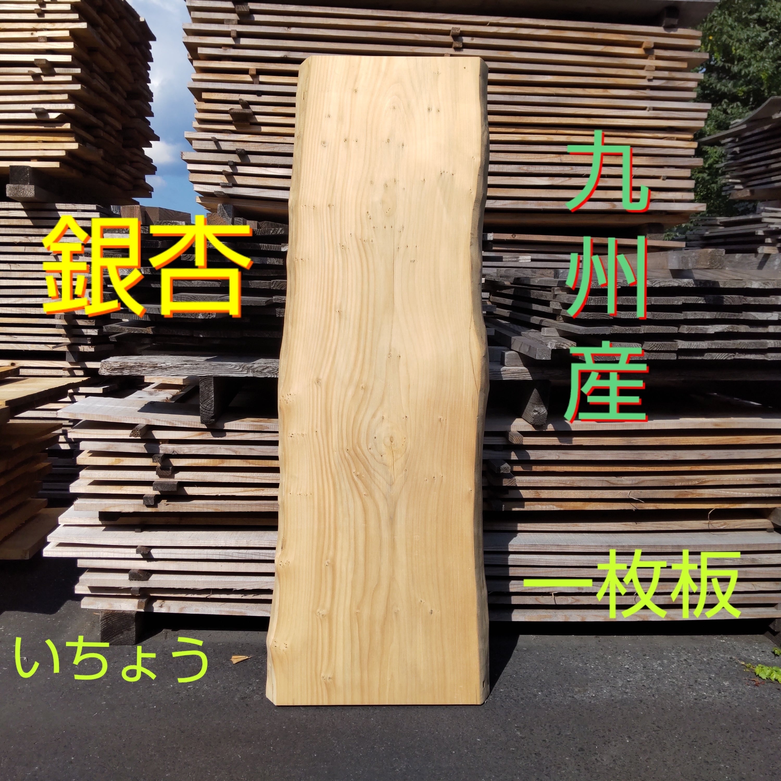 九州産 銀杏 いちょう 一枚板 #007 | マルサク佐藤製材