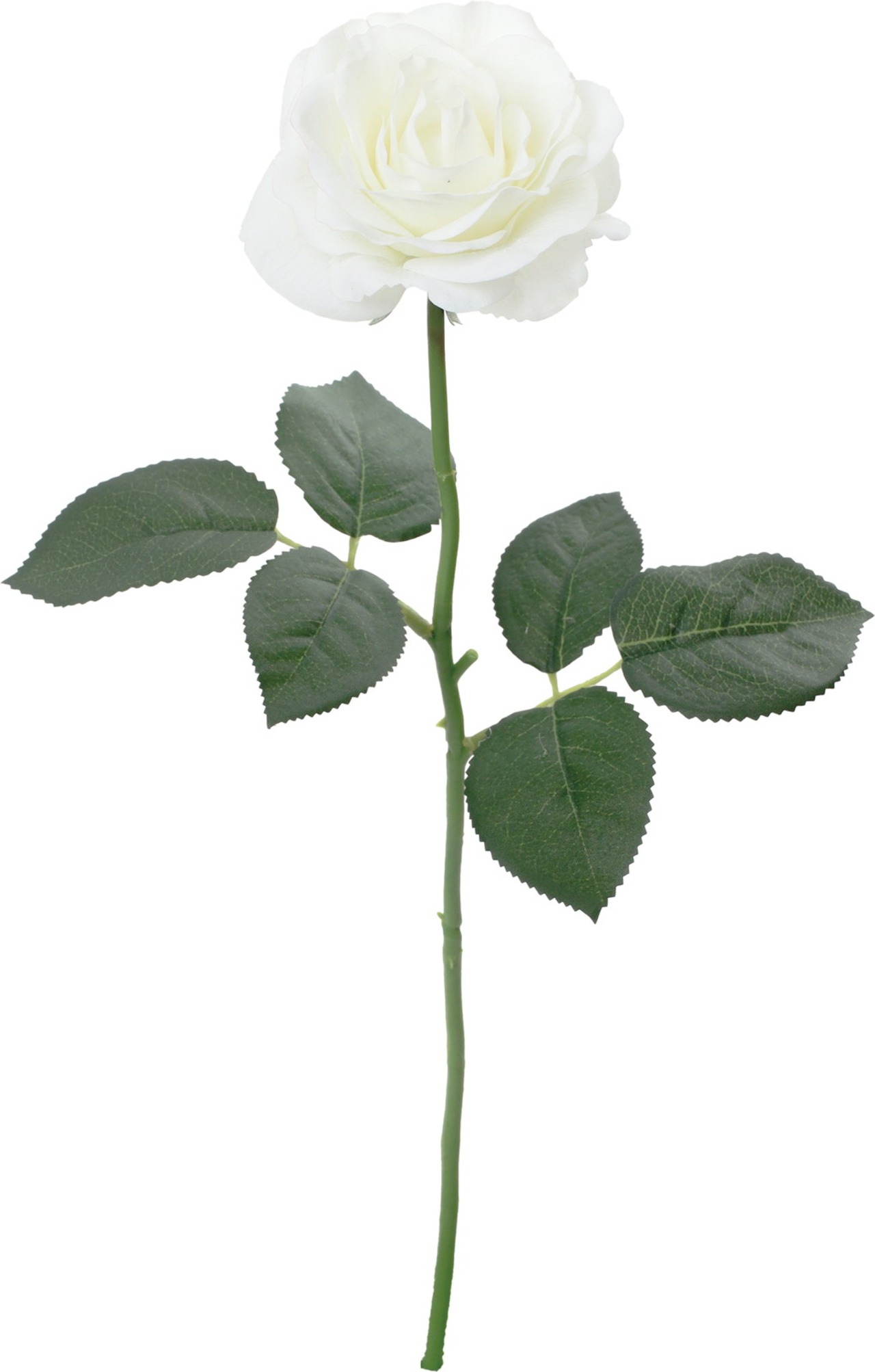 スカーレットローズ　FA-7632 W　4961823158919