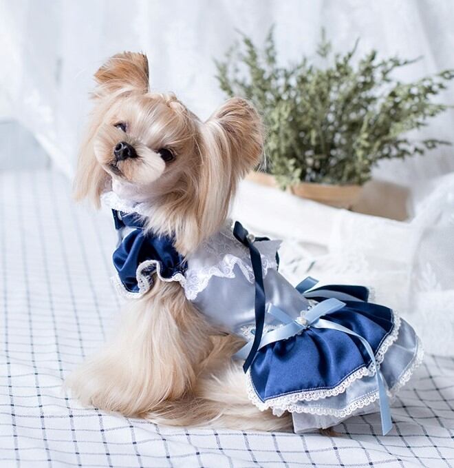 大型犬もOK 海を感じるネイビーワンピース