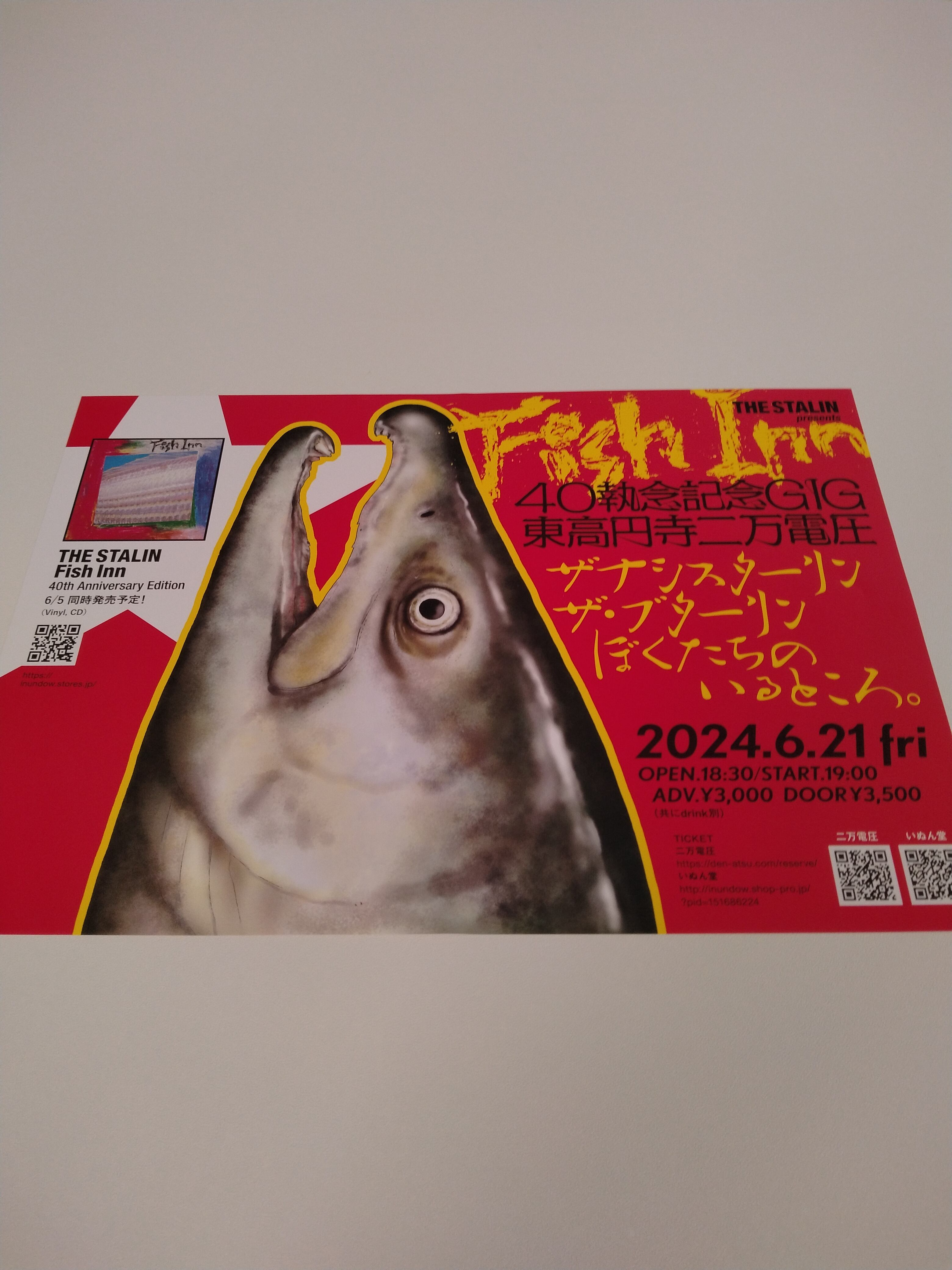 THE STALIN/Fish Inn〜40執念記念GIG〜 | RECORD SHOP CONQUEST 