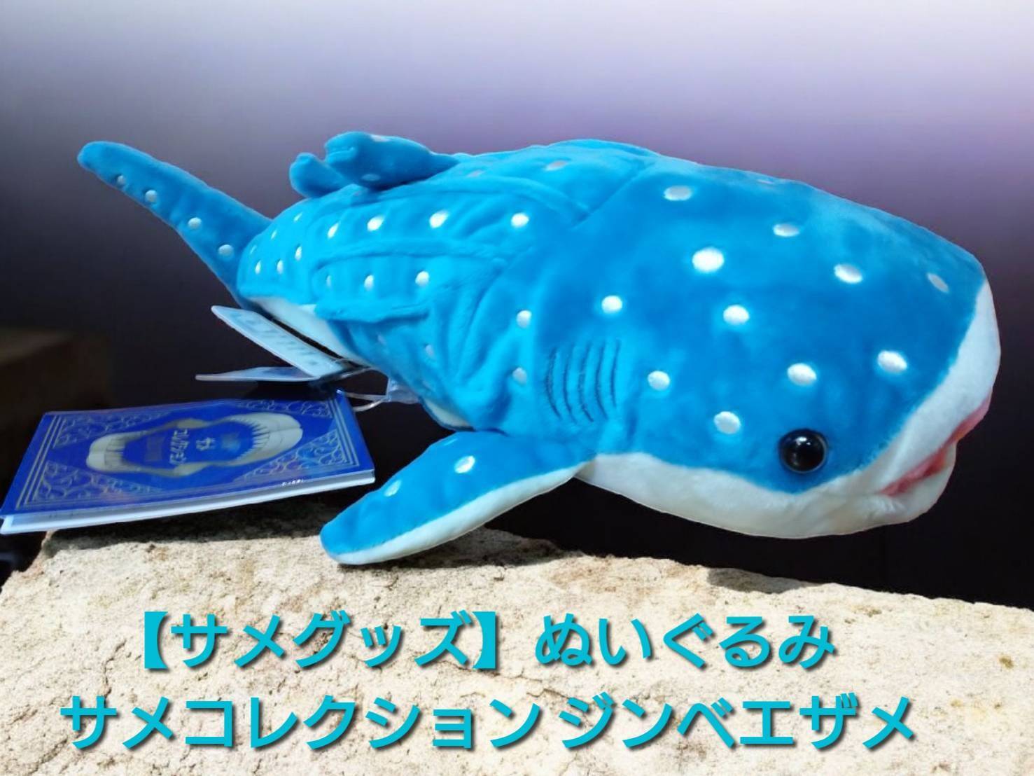 シャークス・サメグッズ | 気仙沼 シャークス