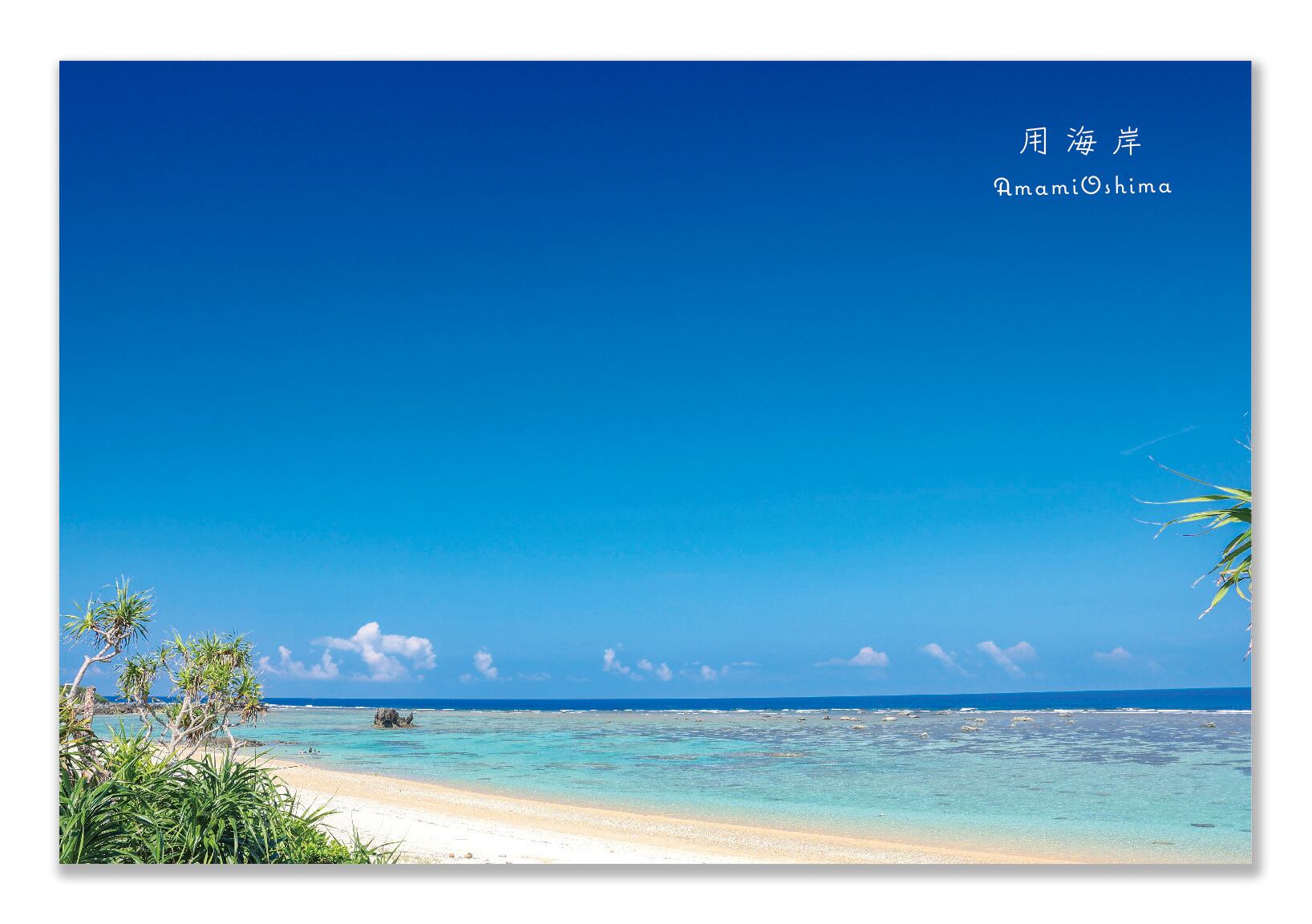 奄美ポストカード「用海岸」