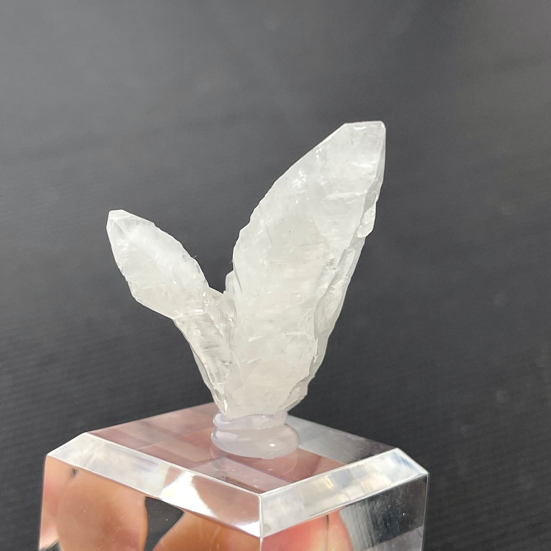 アラゴナイト【Aragonite】メキシコ産 | PEANUTS MINERALS