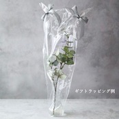 多肉植物 造花 寄せ植え フェイクグリーン 観葉植物 白ポット 卓上