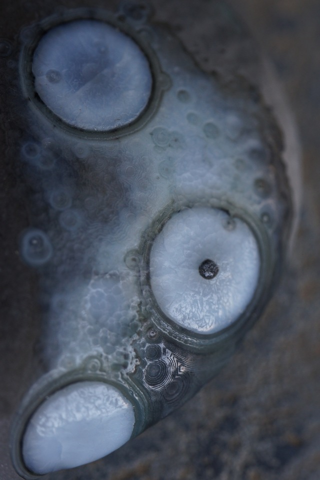 ゴビアゲート Gobi Desert Eye Agate 524