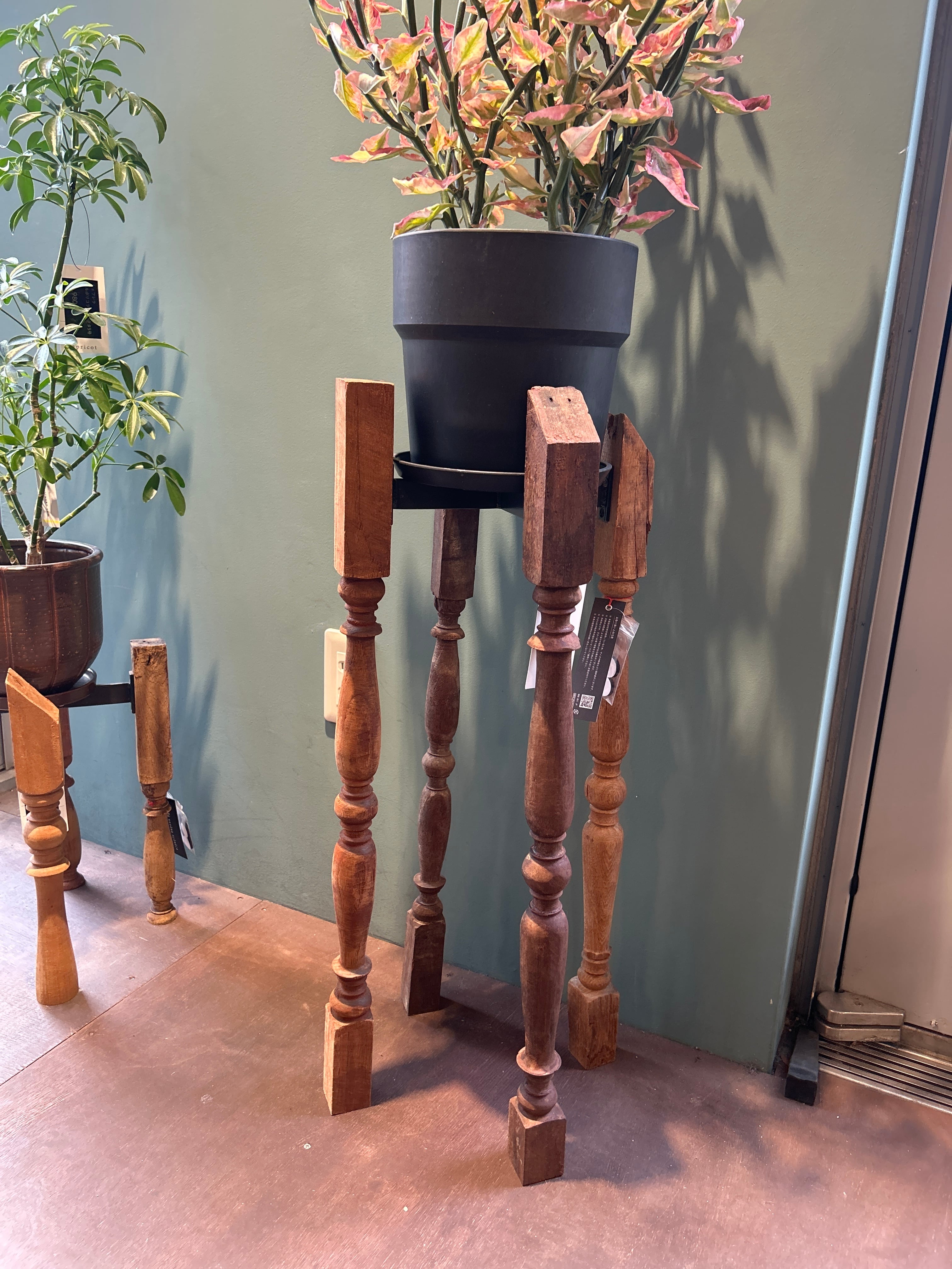 植物スタンド VONA CROSS STAND Mサイズ | 植物との暮らし apricot