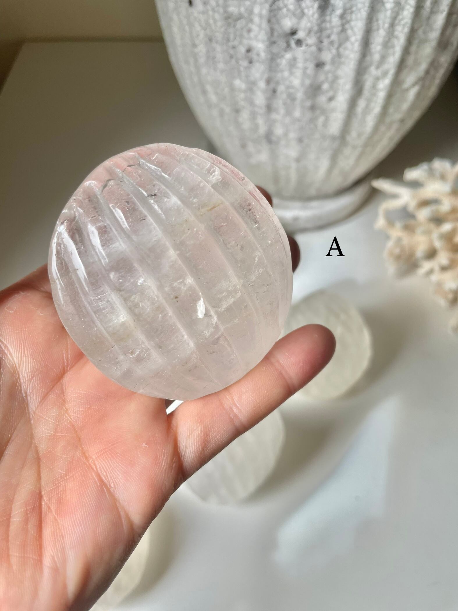 Crystal Shell / 水晶　貝