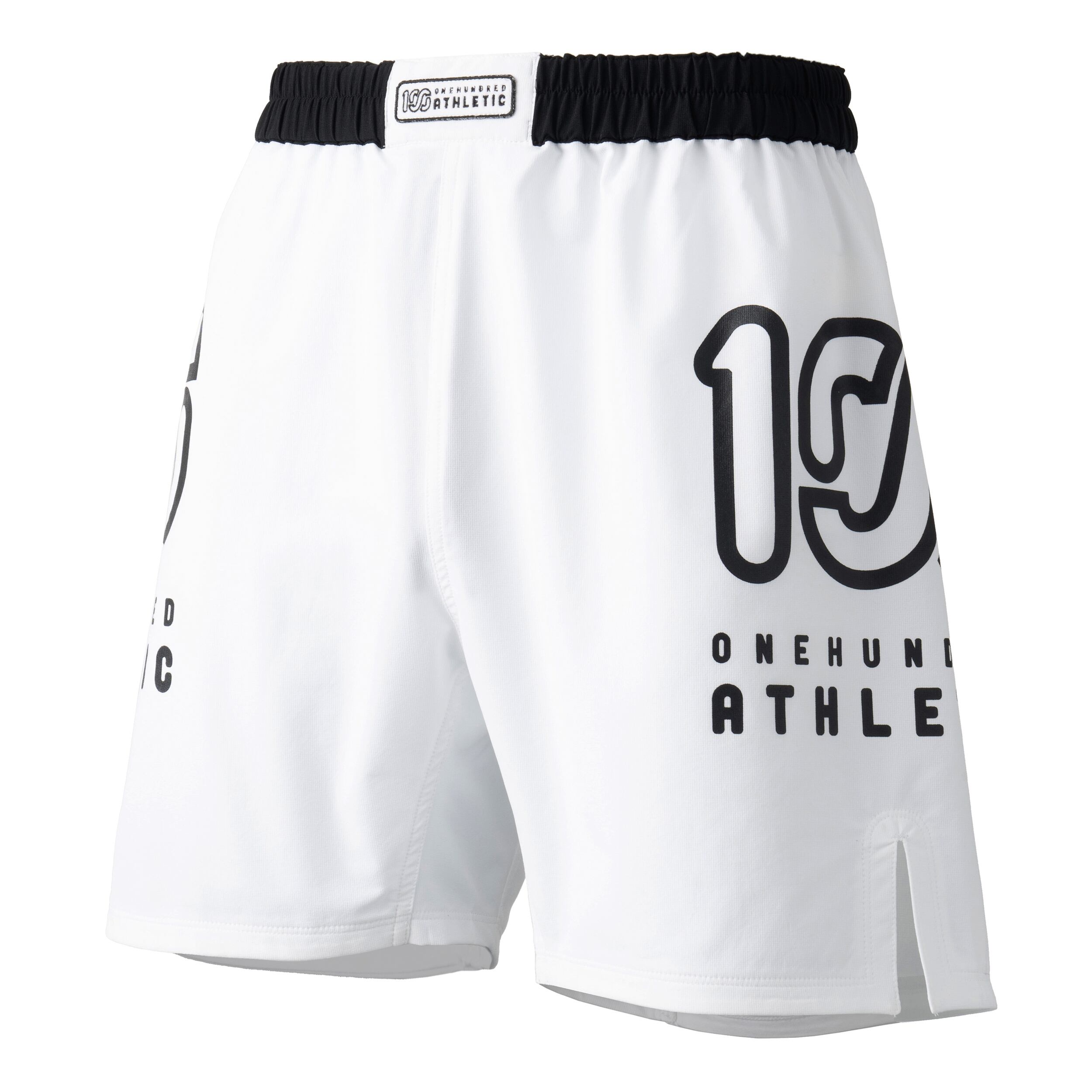 100A DRY GRAPPLE SHORTS *3G Type-B 通販