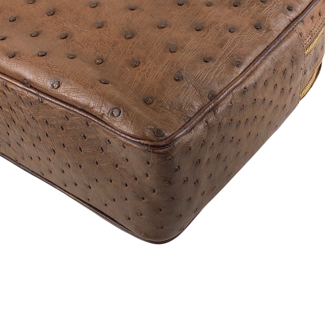 LOEWE ロエベ ハンドバッグ ブラウン アナグラム オーストリッチ vintage ヴィンテージ オールド pztb8z