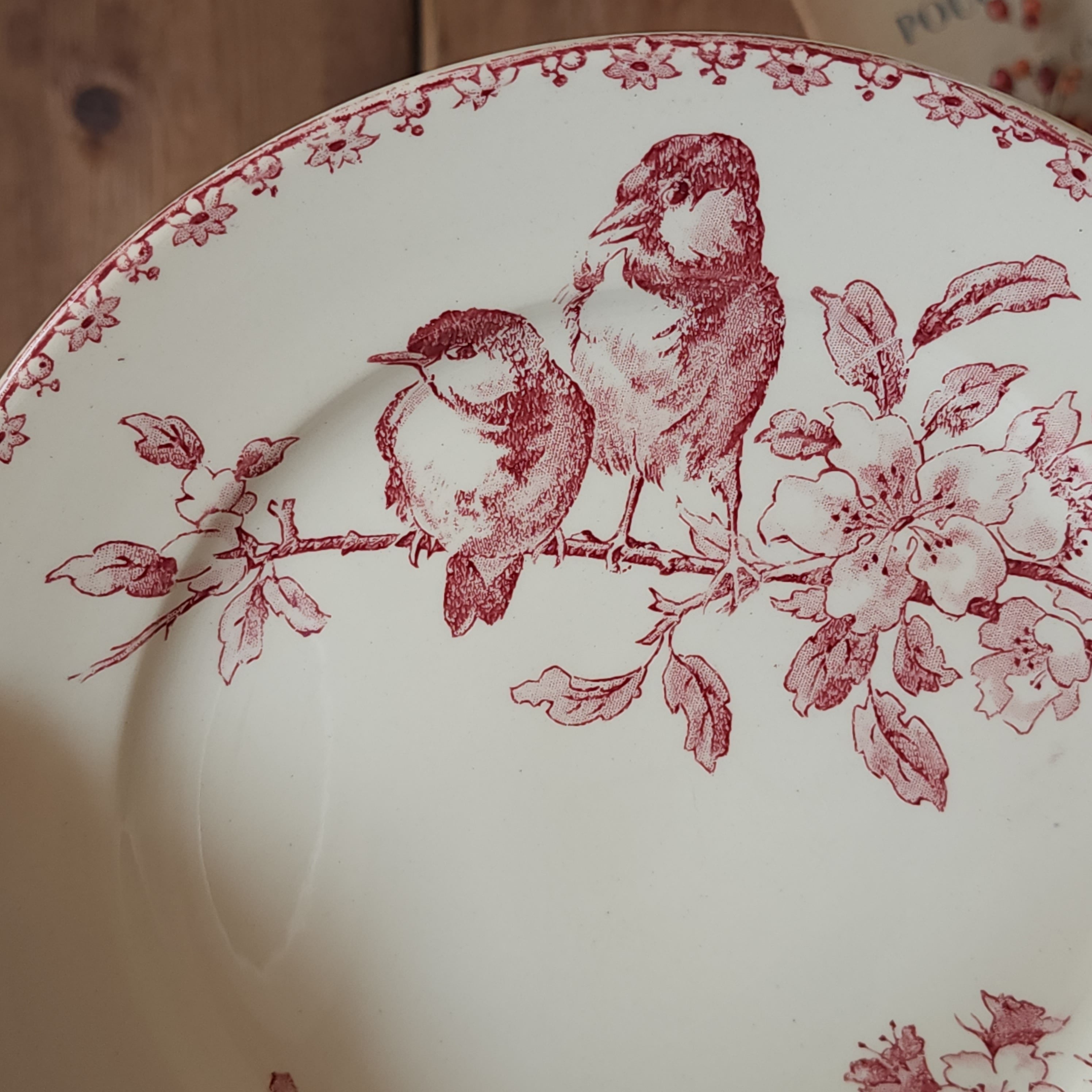 Sarreguemines サルグミンヌ デザートプレート / FAVORI #2 | デザート