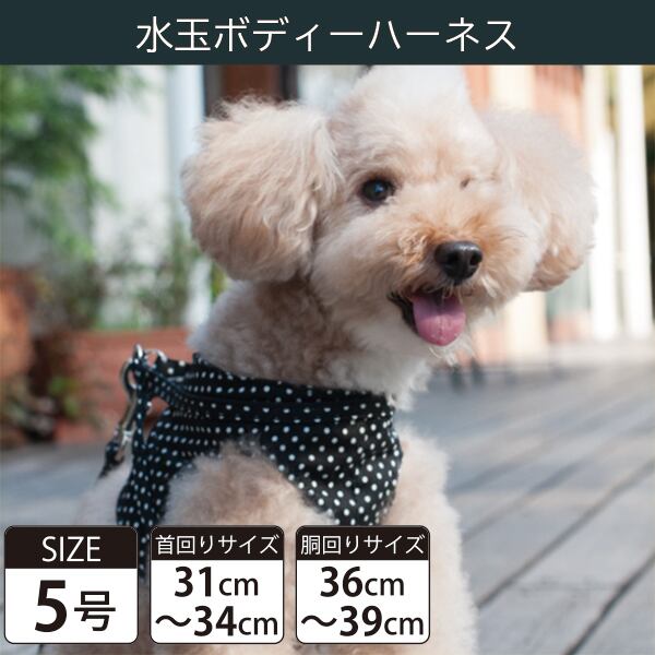 Toto&Pal(トトパル) ボディーハーネス・水玉(5号)