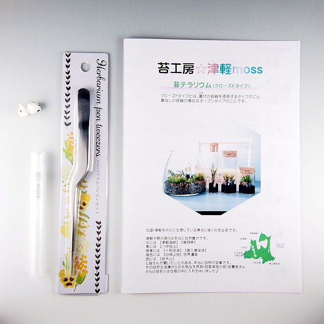 苔テラリウム 試験管4本セット メイプルウッドタイプ 工房 津軽moss