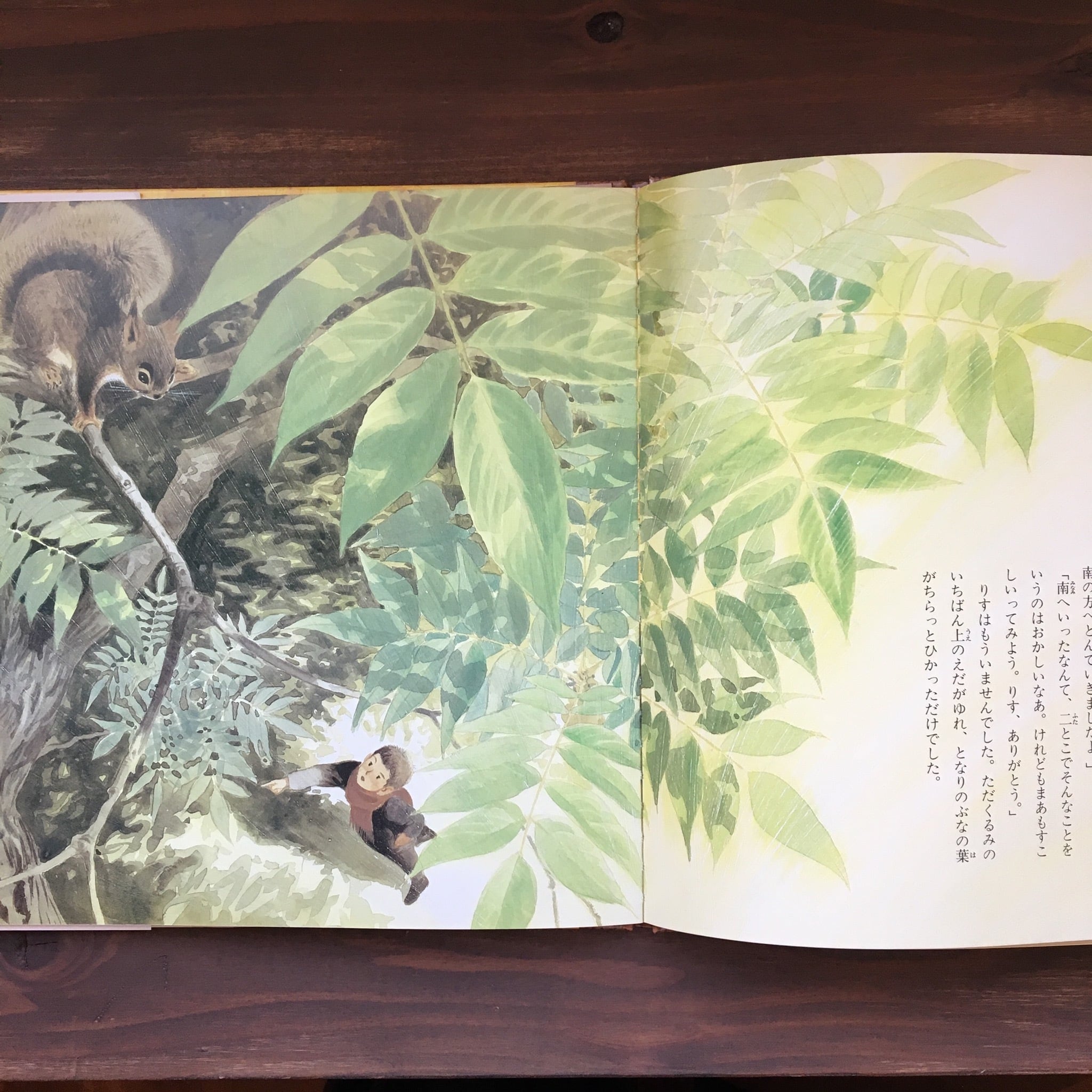 どんぐりと山ねこ(宮沢賢治どうわえほん2)