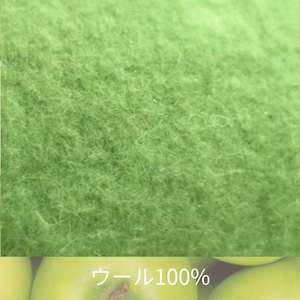 グリーンアップルベレー帽　E00367