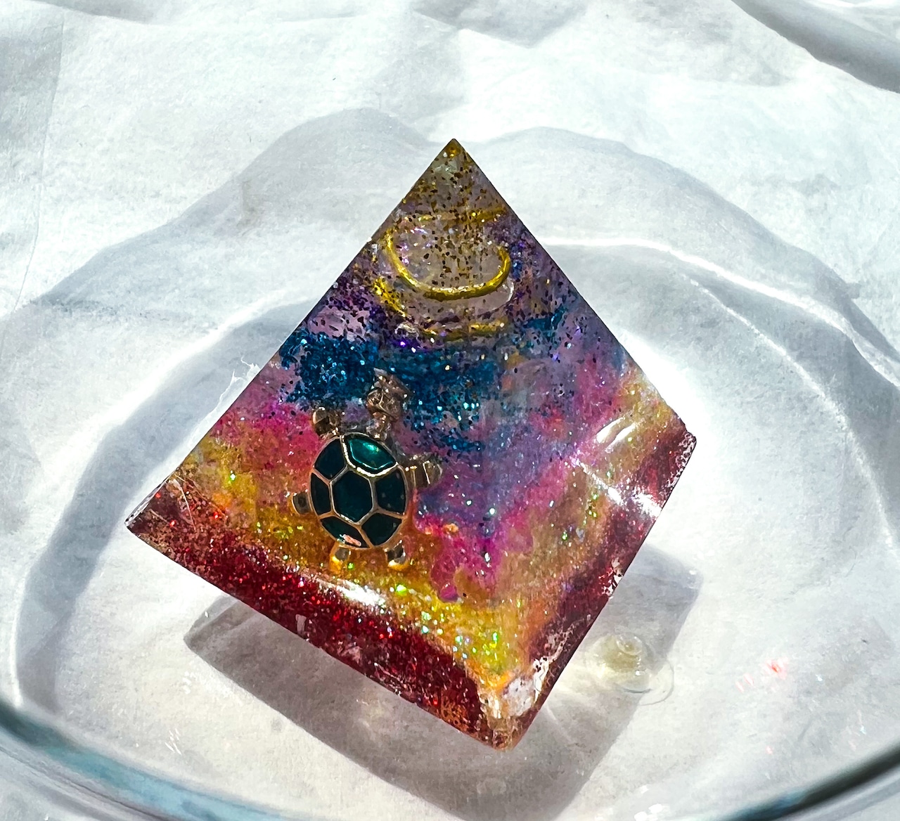 専用ページ専用出来ません　金箔亀さん❀ マイナス20℃を生き抜いたチコリの姿に涙😭3月前半の生産現場から | 農家漁師から産地直送の通販 ポケットマルシェ