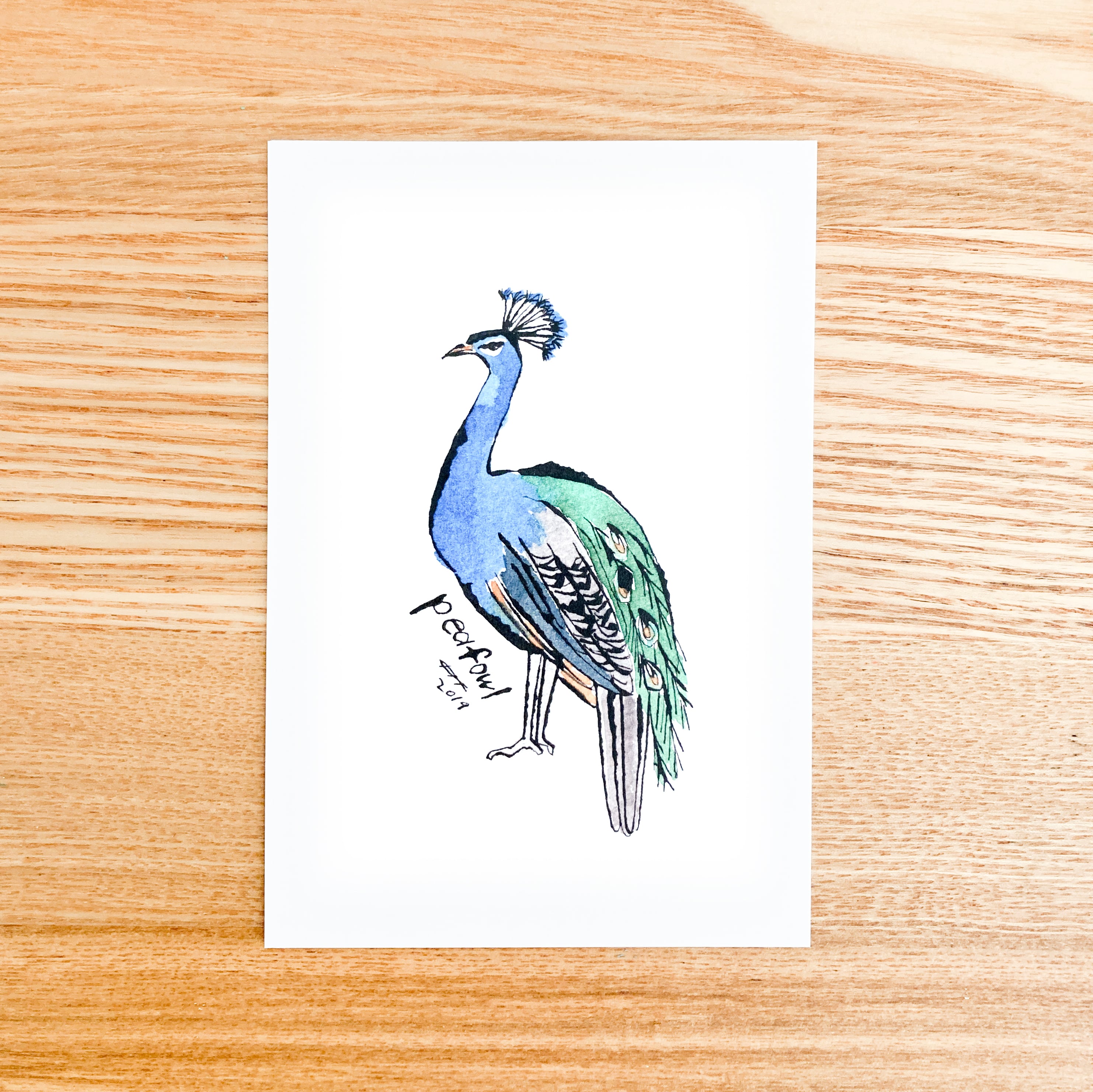 ポストカード クジャク Harukanzaki Online Shop