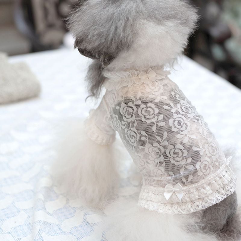 フラワーレースのワンピース 犬服 00751