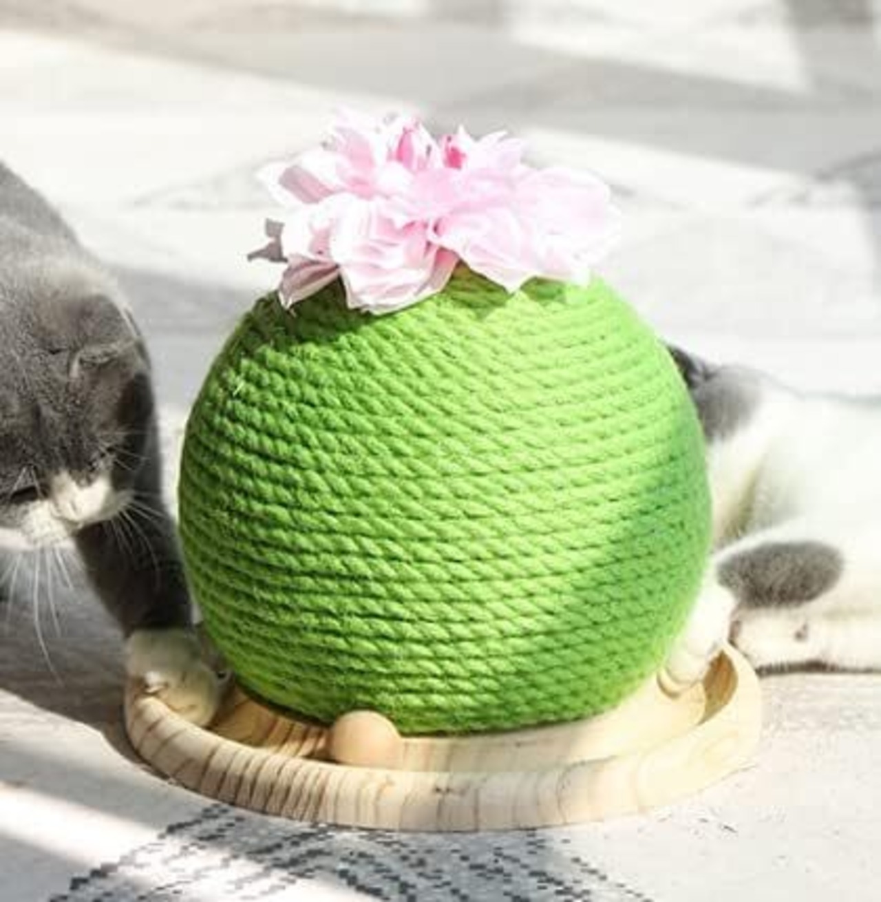 【爪とぎ　サボテン】遊びながら爪とぎの練習！ボール付き！（子猫の爪とぎ練習にもおススメ！）
