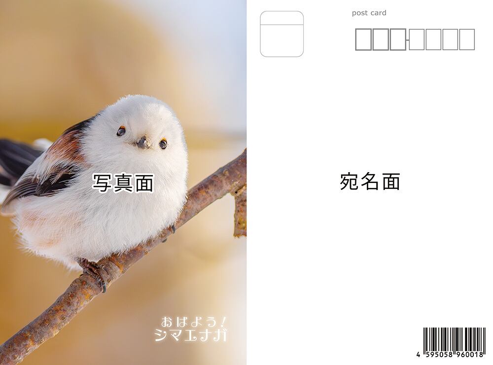 シマエナガ ポストカード ① | シマエナガショップ