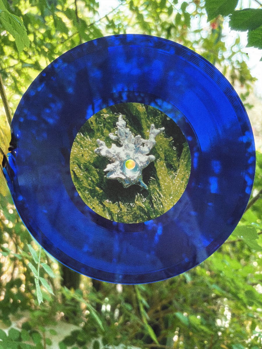 Dream Crease / In The Tall Grass / Grotto(40 Ltd Blue 7inch)