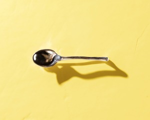 BEE SPOON