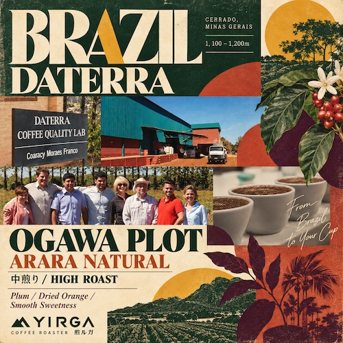 ブラジル ダテーラ農園 OGAWA PLOT アララ ナチュラル 中煎り -High Roast-