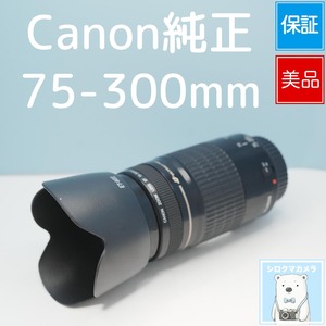 Canon純正 75-300mm EFマウント用 望遠レンズ 美品 シロクマカメラ a7828