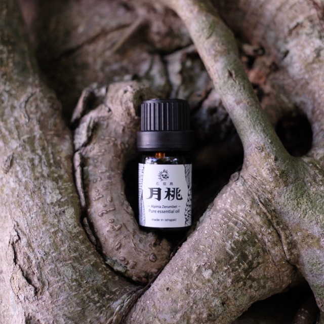 月桃 Essential Oil