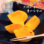 【予約・10月下旬～11月発送】【2026年産】伊豆柿 L 24玉（5ｋｇ）