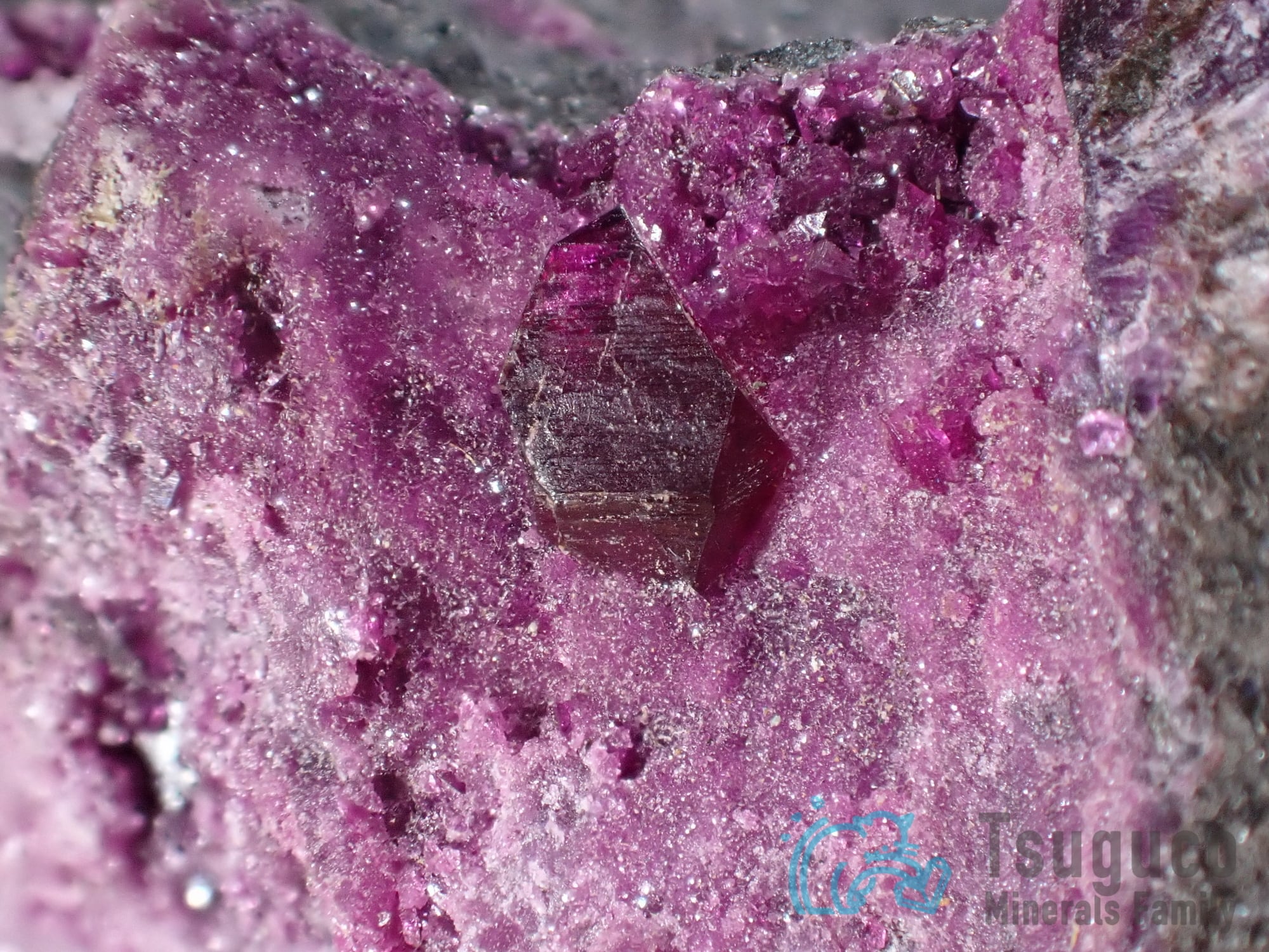 カメレライト 菫泥石 トルコ TM-538 | つぐこみねらるず ｜鉱物・原石