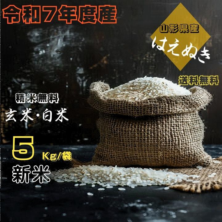 新米早期予約 10Kg 玄米 販売 送料無料 当日精米 令和7年度産 山形県
