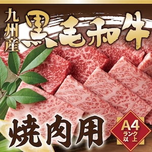 特選! 黒毛和牛 焼肉 セット/九州産