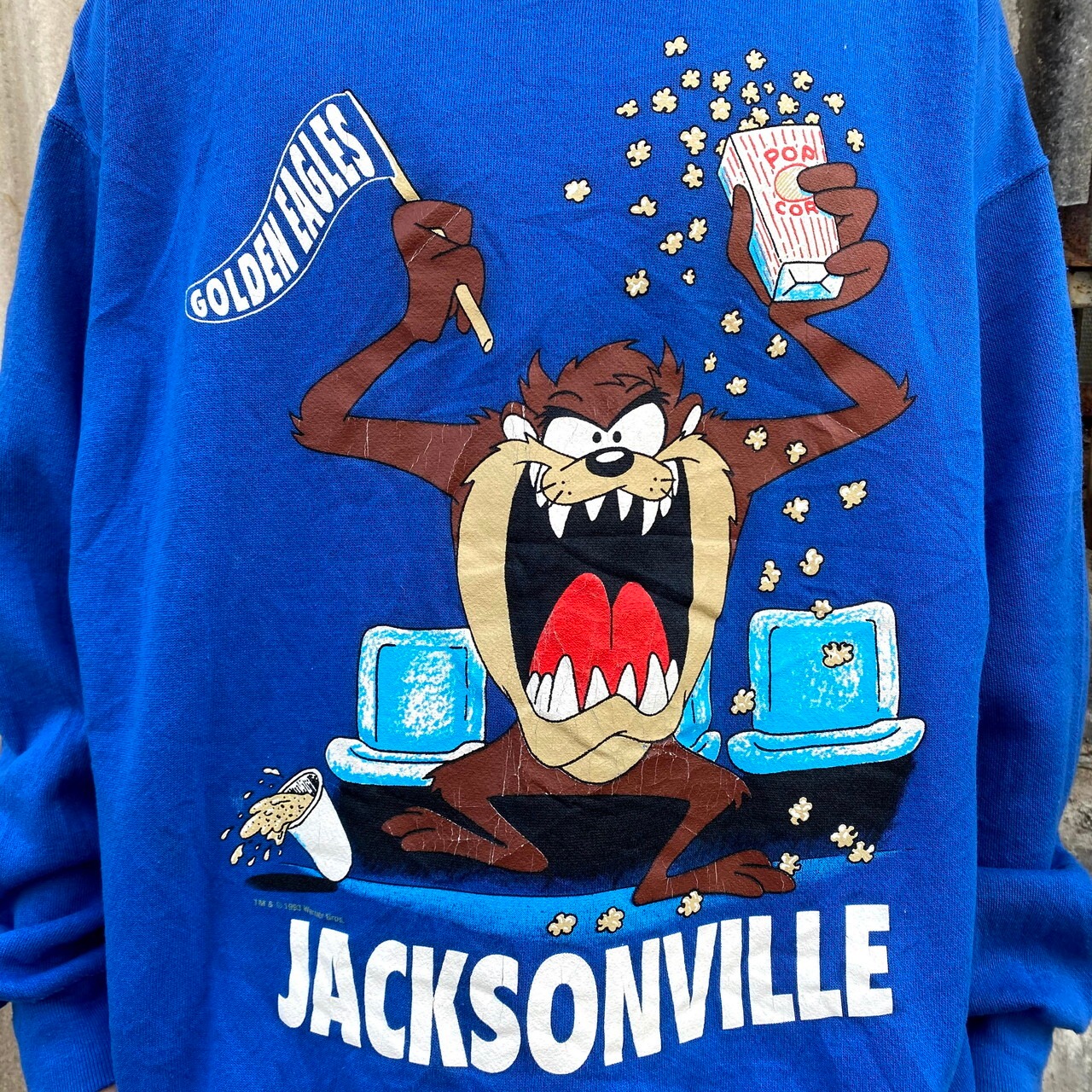 古着 90年代 LOONEY TUNES LOONEY TUNES トゥイーティー キャラクター  