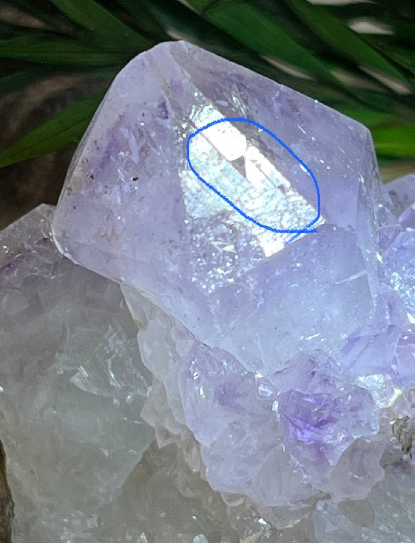 トライゴーニック✨虹入り カクタスアメジスト サボテン水晶 ラフ