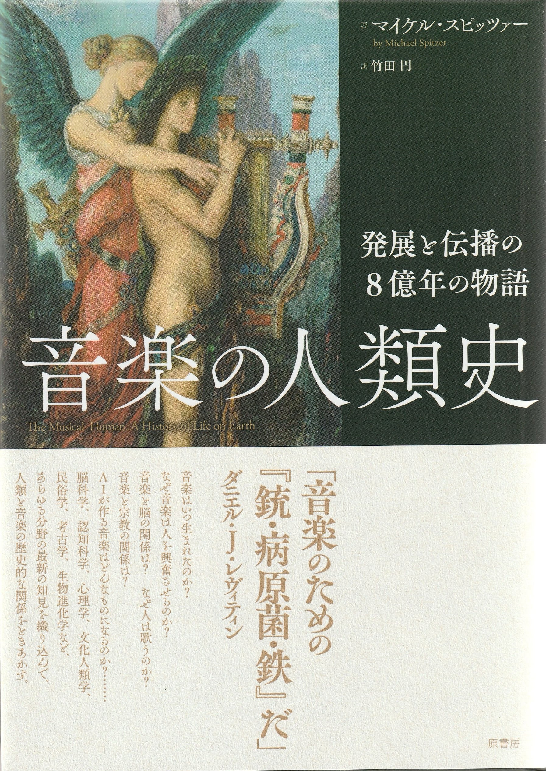 音楽の人類史 | 本屋ロカンタン｜神戸・新長田の新刊書店