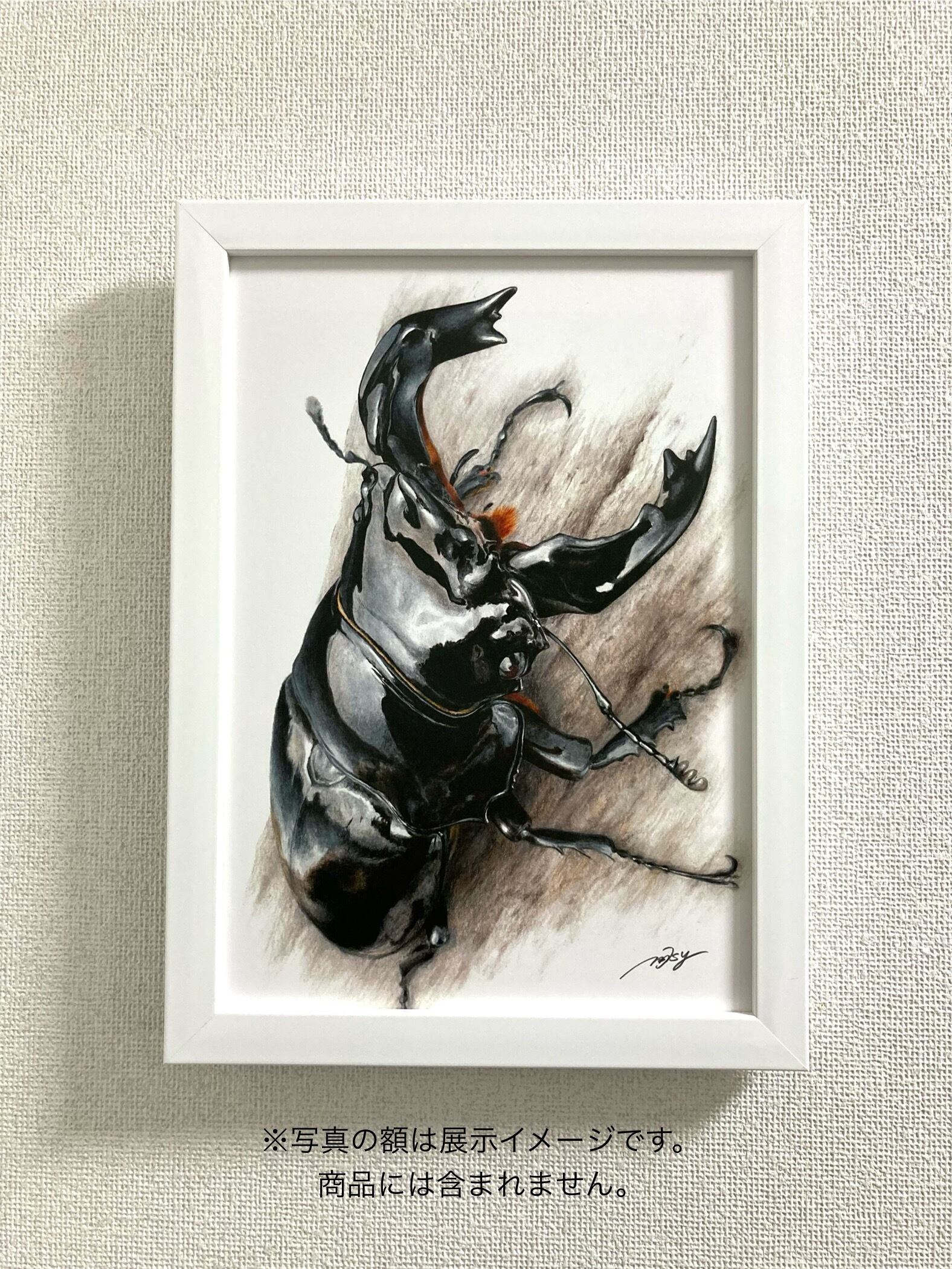 昆虫イラスト 色鉛筆画（プリント）タランドゥスオオツヤクワガタ | Pay ID