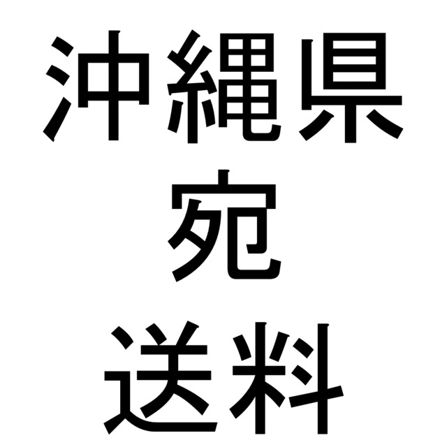 100サイズ 沖縄県宛送料