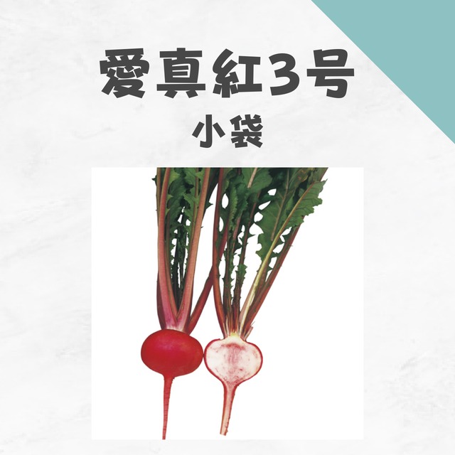 愛新紅3号　カブ種子・小袋