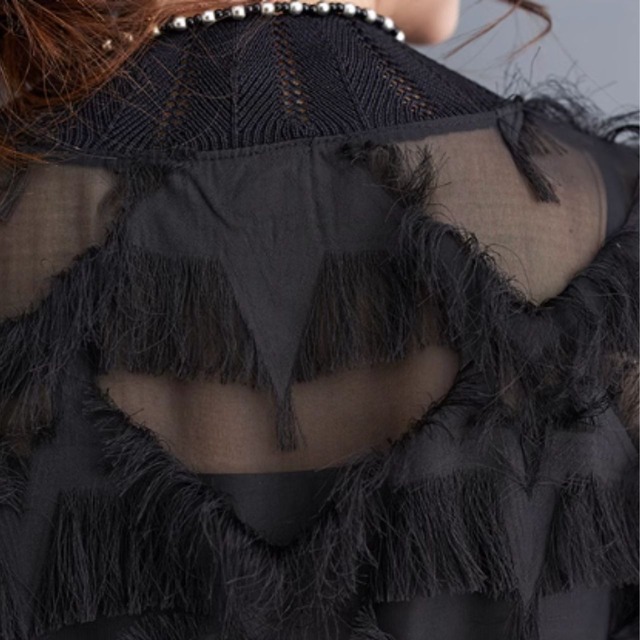 Stand collar tassel design dress C0398