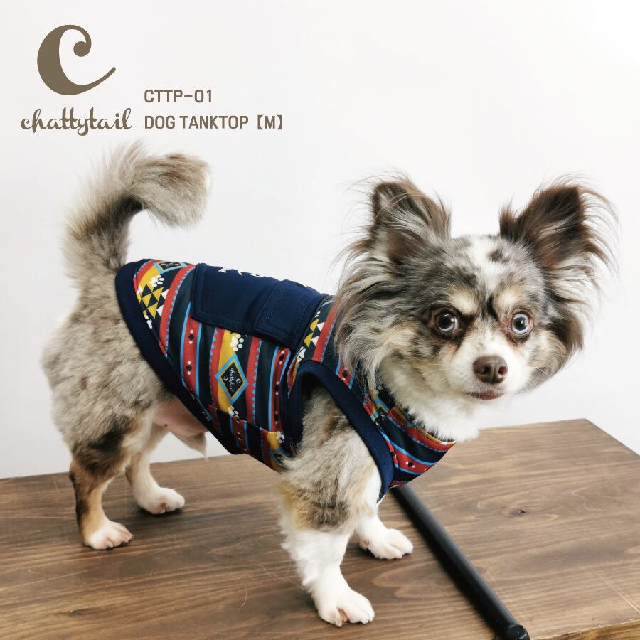chattytail