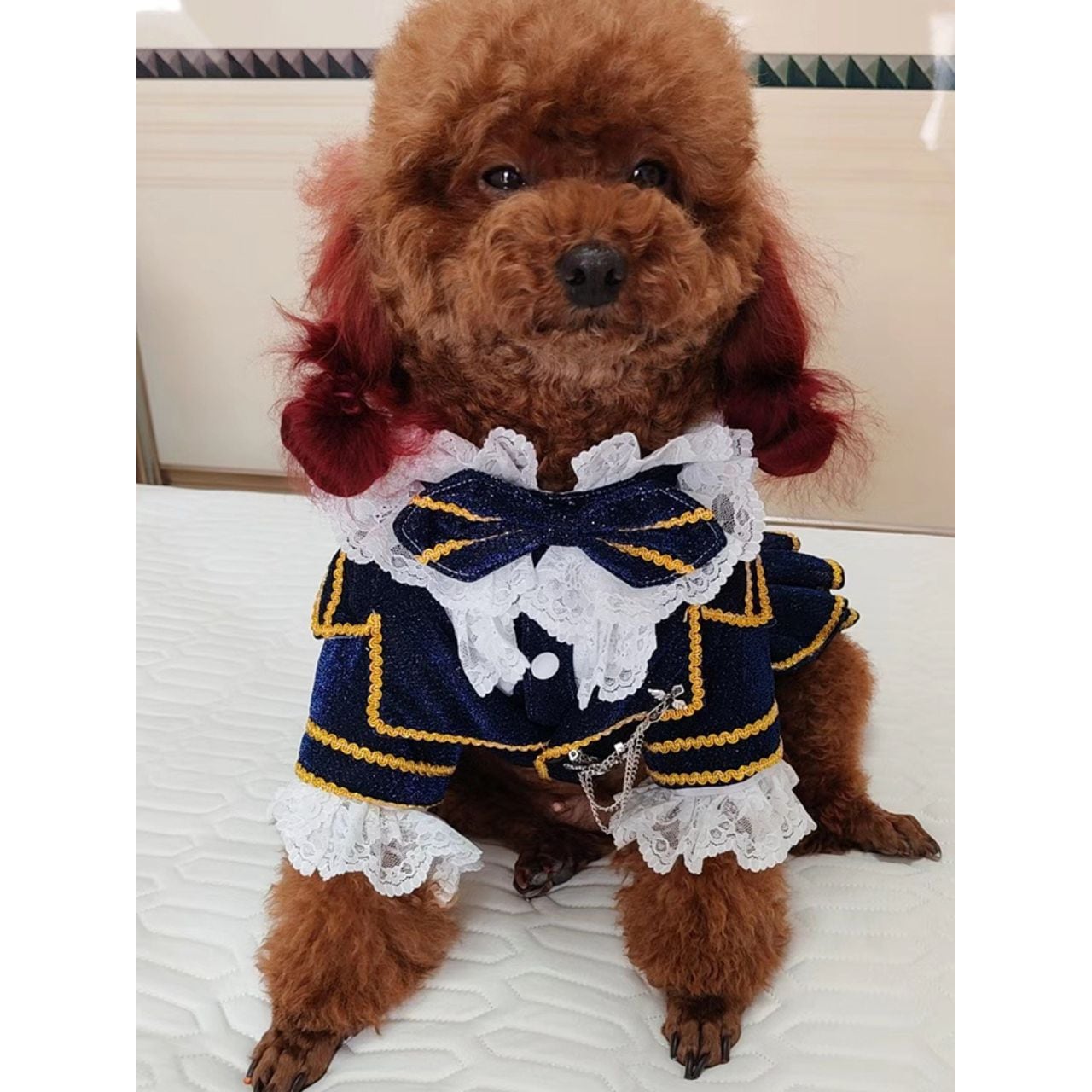 クラシカルエレガンス プリンススーツ 00549