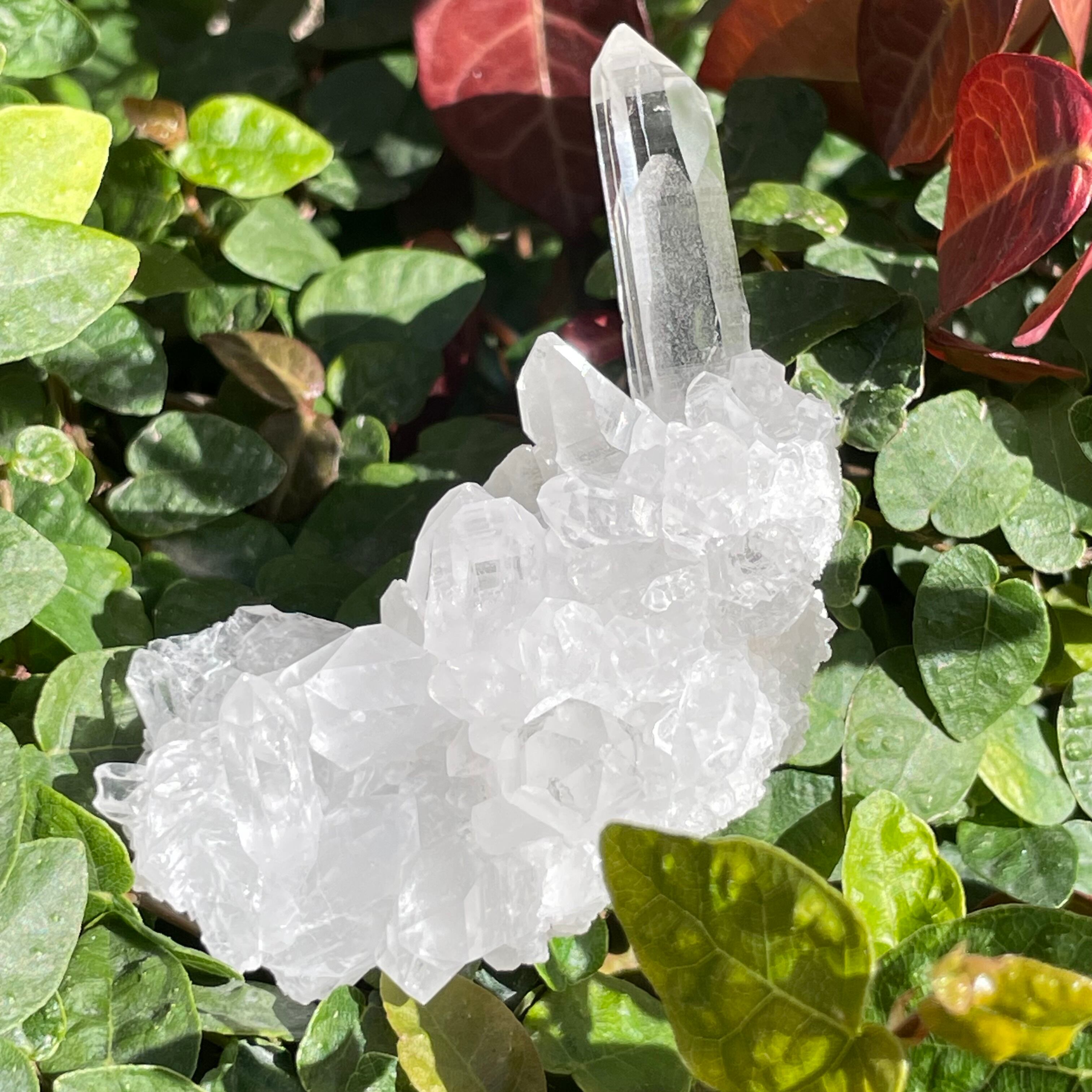 特大サイズヒマラヤ産ファントムクラスターポイント