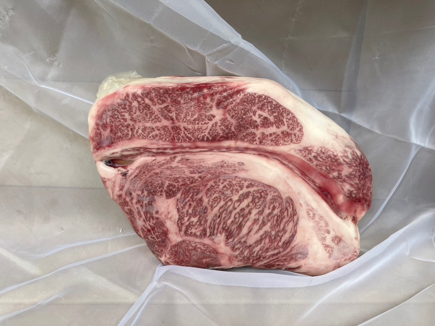 【牛ー42】 牛タン１本売り(オーストラリア産)1本 全品1円～ギフト包装 牛タン1本スライス オーストラリア産 ロング