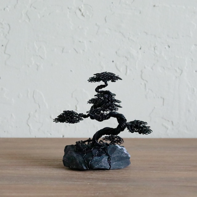 ツチンナカキ【Wirebonsai】Ssize ブラック