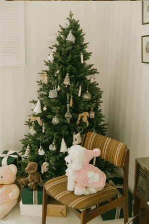 即納【pecoramou select】ロマンスポンチョ ピンク