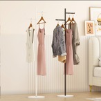 ハンガーラック 多段式 段違い コートハンガー 衣類収納 大容量 省スペース 洋服掛け スタンド式 おしゃれ モダン 一人暮らし 寝室 インテリア