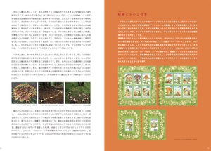 きのこ輪舞(ロンド)