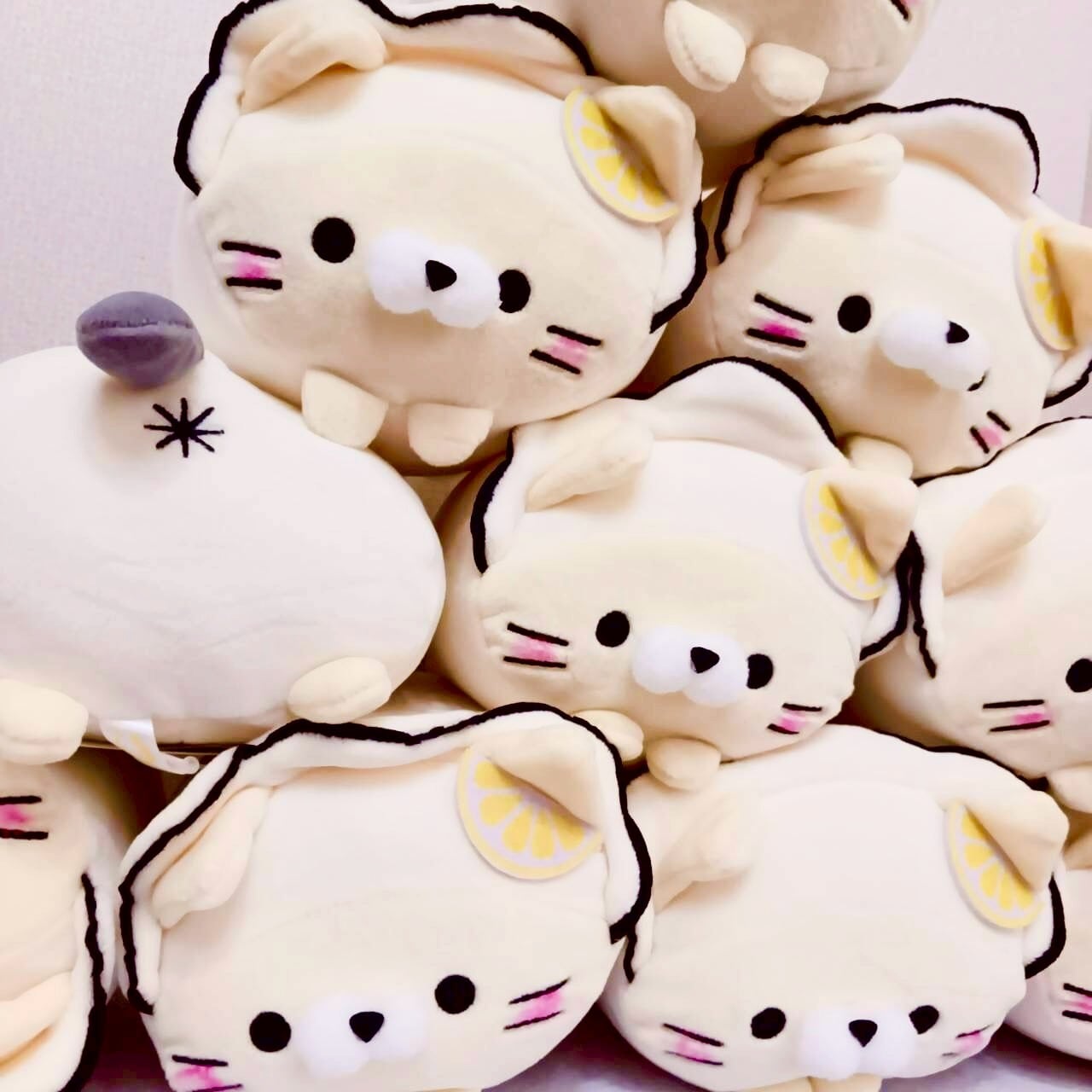 もちふわにゃんこ宮城 三陸カキ ぬいぐるみ | TORCH-Online Shop-